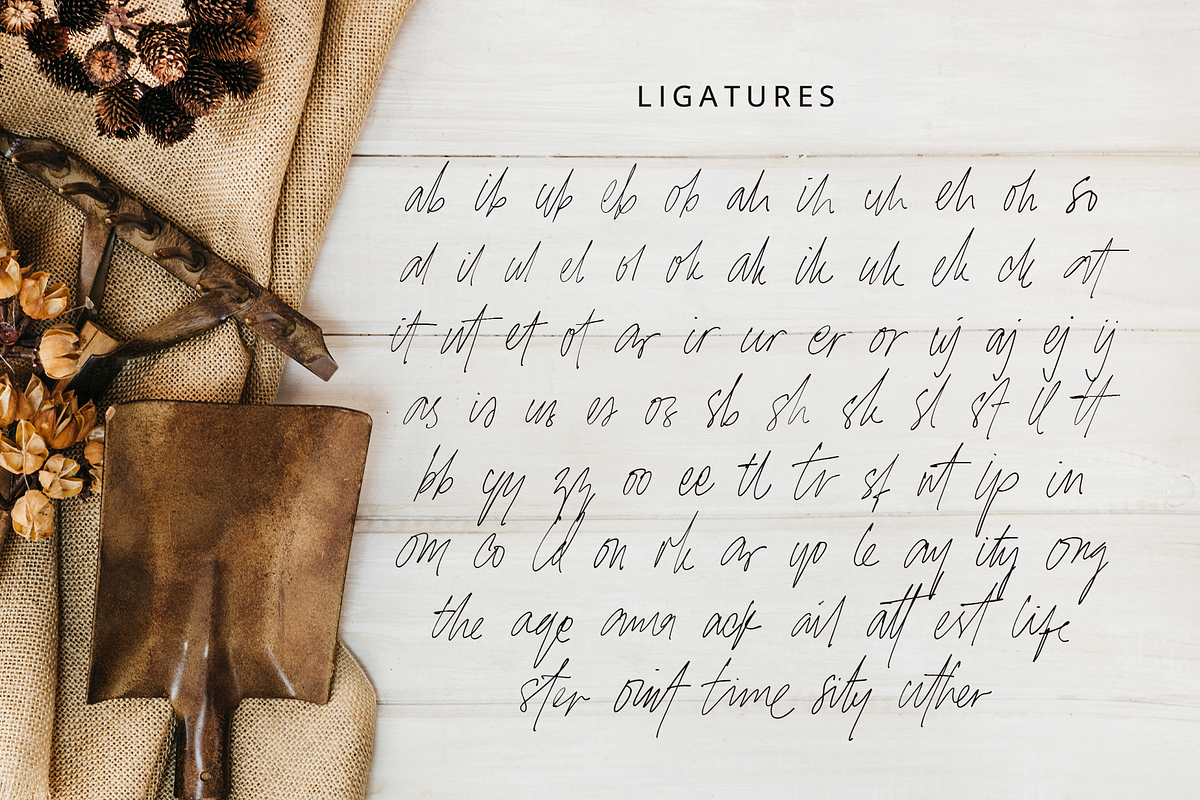 Writtenbook - Handwritten ScriptFont, a Script Font by overlaytemplates