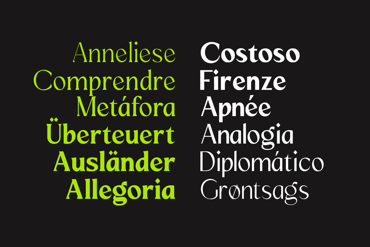 Mizhon | 36 Fonts, a Serif Font by Skinny Type (Photo 5 of 15)