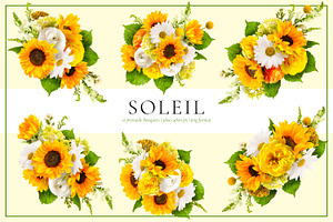 Soleil Floral Patterns & Clip Art