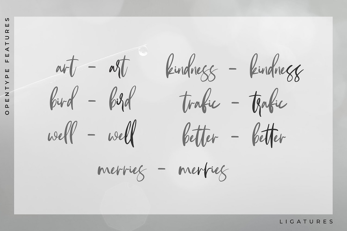 Andaretta, a Script Font by Ditatype (Photo 3 of 7)