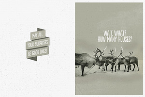 Surprise Christmas Card