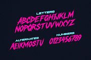 Roadkill - Brush Font, a Font by Tugcu Design Co. (Thumbnail 2 of 3)