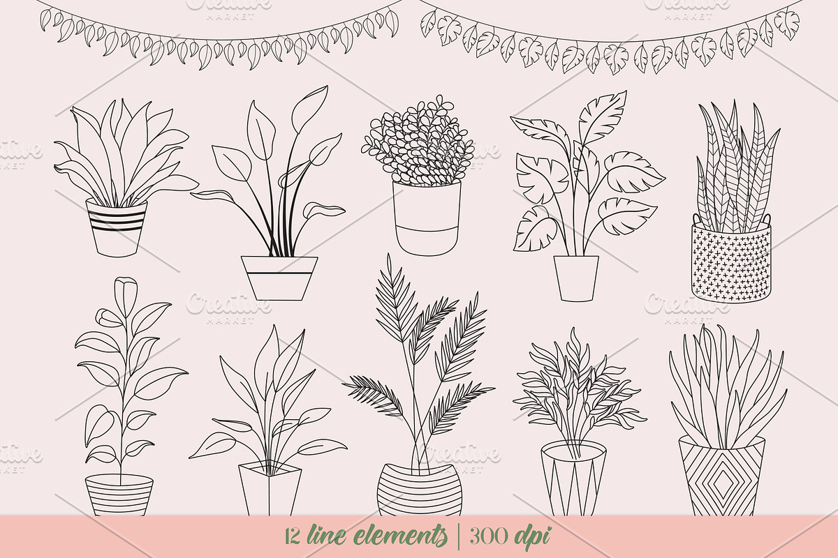 House Plants Clip Art Vector & Png, a Decorative Illustration by Digital Sugar (Photo 3 of 5)