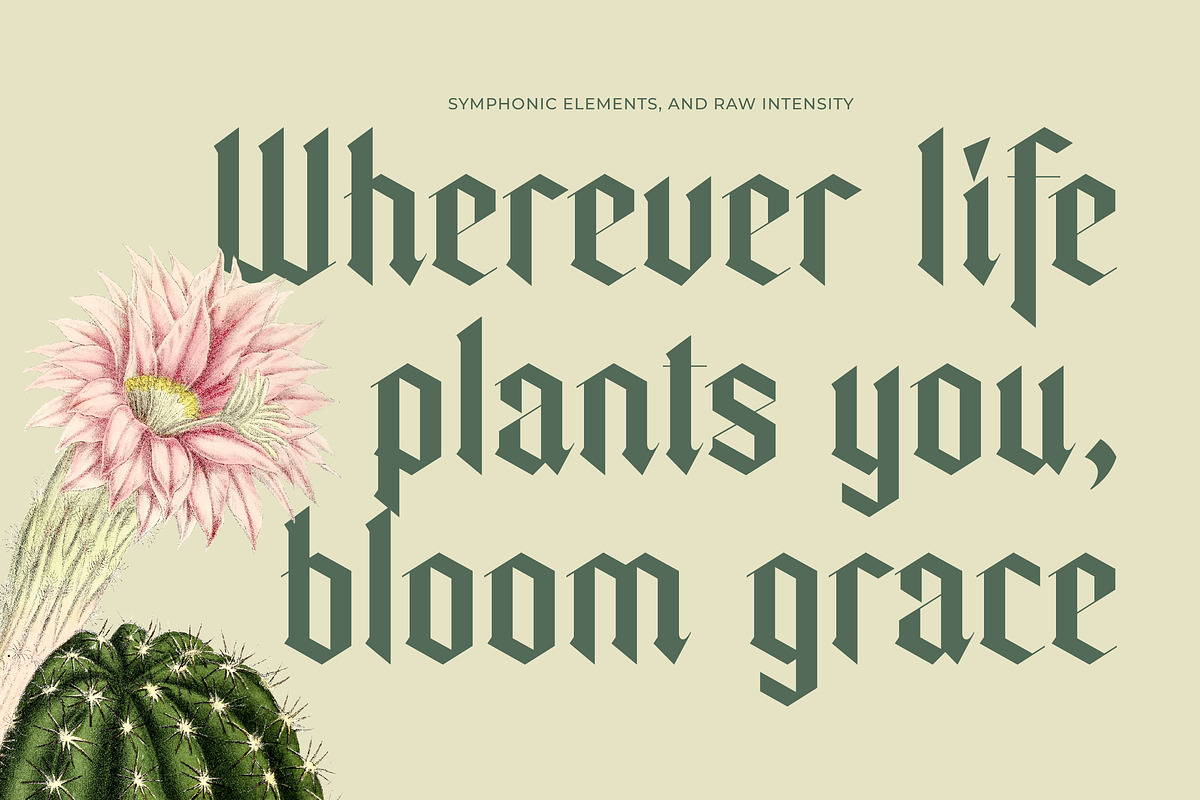 Trackero Modern Blackletter Typeface, a Blackletter Font by timelesstype.co (Photo 4 of 11)