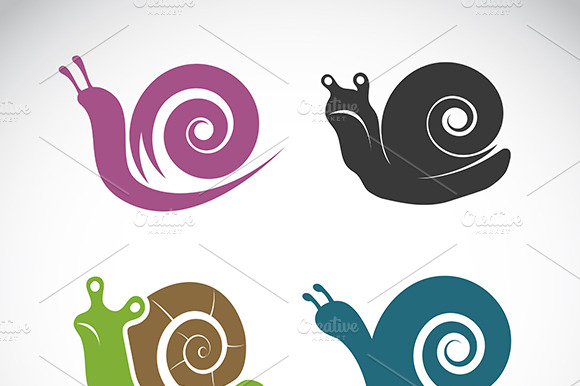 Vector Of Snail On White Background.