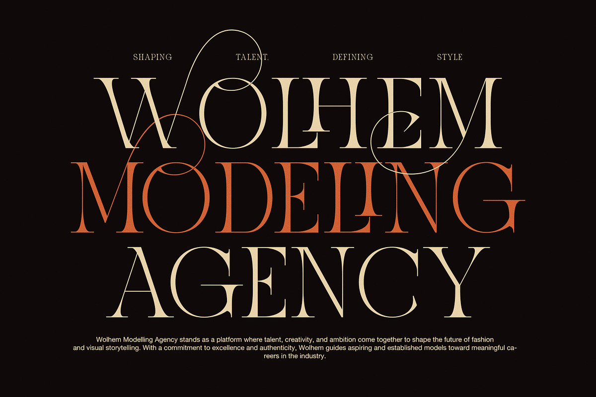 Asemok Elegant Serif Font, a Serif Font by Graphicxell (Photo 3 of 8)