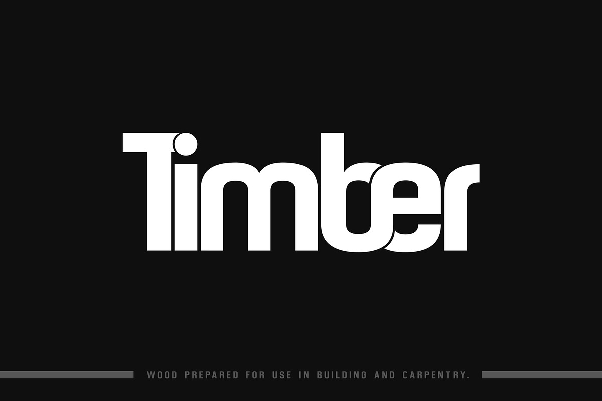 Raspberry Sturdy Typeface, a Sans Serif Font by Design Stag (Photo 3 of 6)