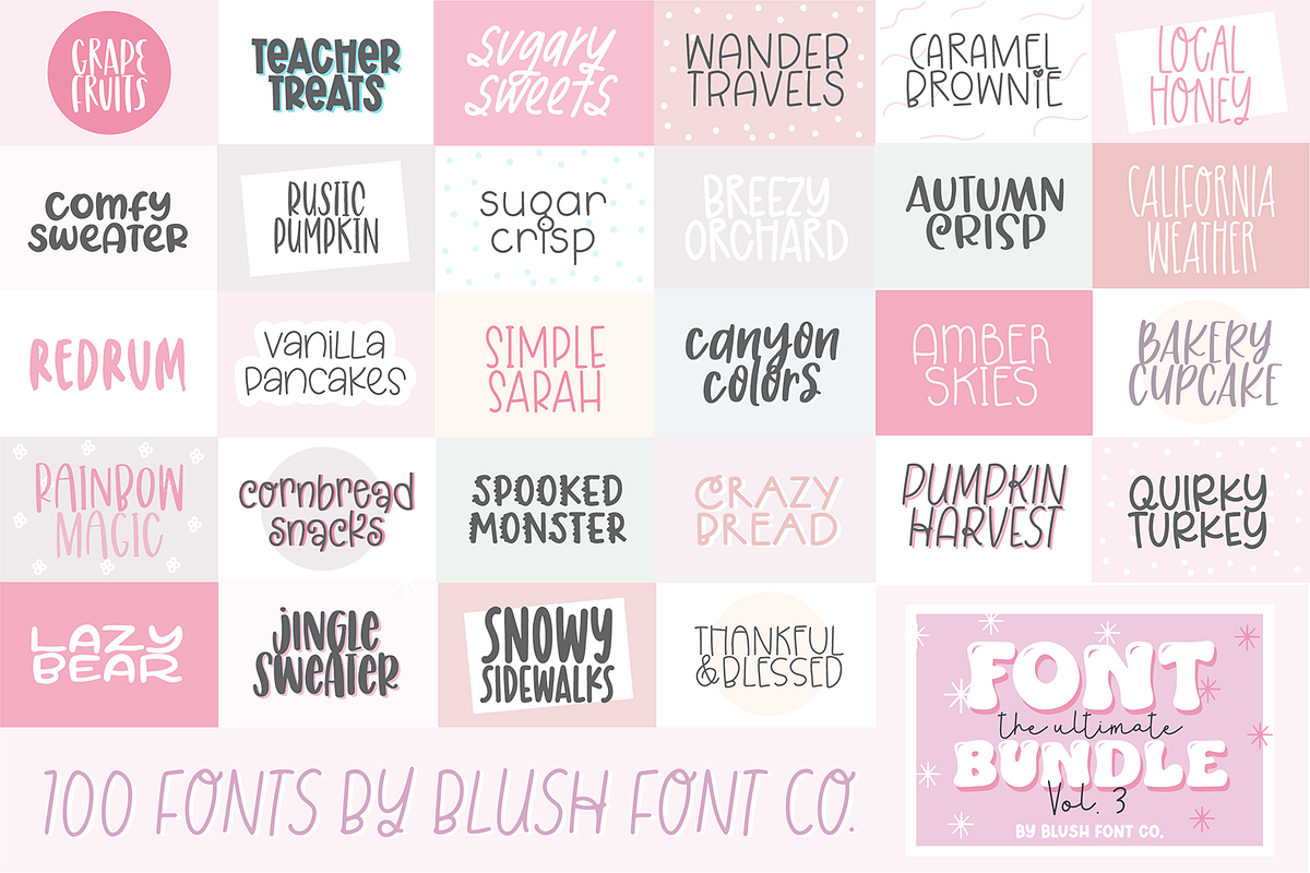 100 FONTS! Ultimate Font Bundle Vol3, a Script Font by Blush Font Co. (Photo 4 of 4)