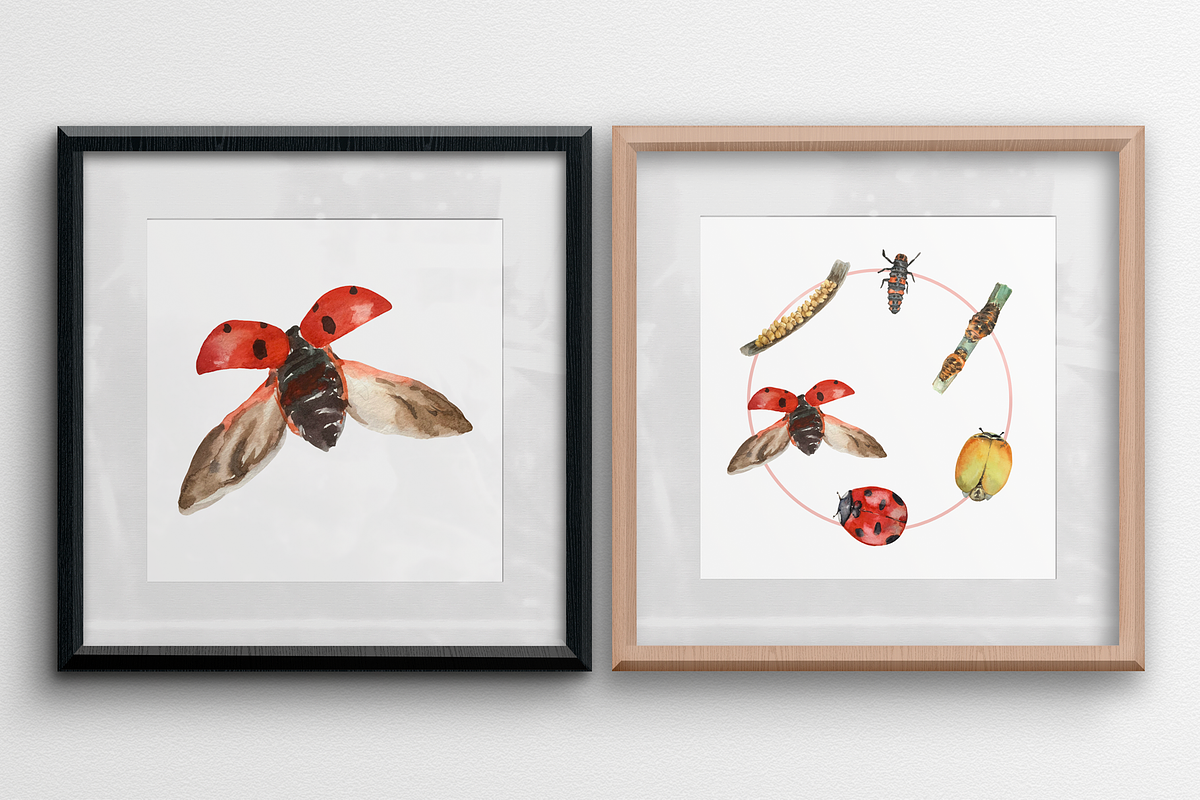 Ladybug Life Cycle Clip Art & Print, an Animal Illustration by Tati Bordiu (Photo 3 of 3)