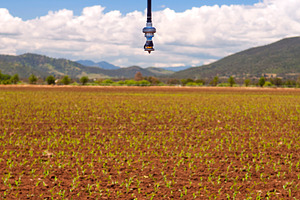 Farming Irrigation Sprinkler, an Industrial Photo by THP Creative