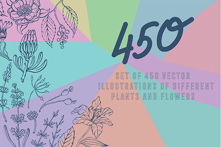 Vector plants and flowers