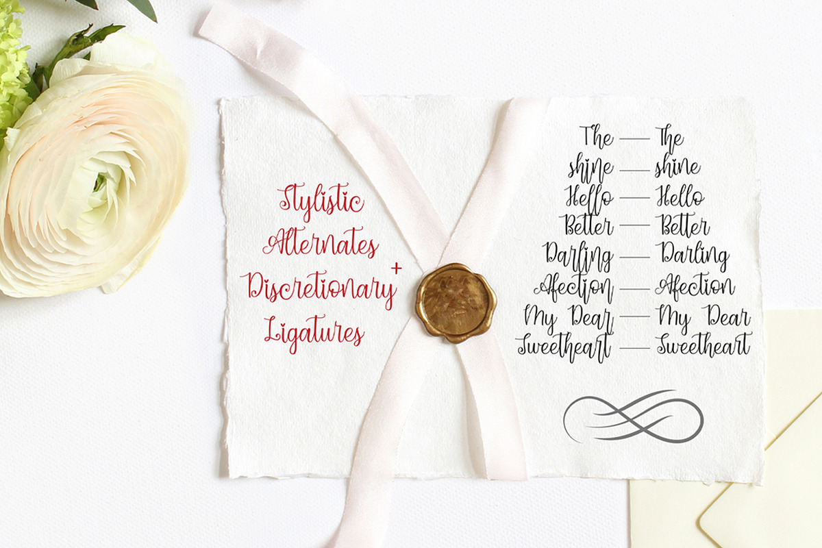 Dynamic Love | Calligraphy Script, a Script Font by StoricType (Photo 17 of 17)
