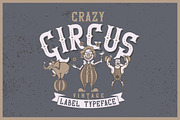Crazy Circus typeface, a Symbol Font by VozzyStock (Thumbnail 1 of 6)