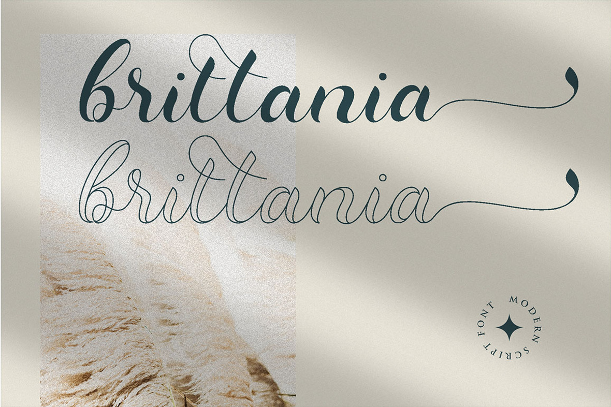 Dominica Calligraphy Script, a Script Font by Idea Studio (Photo 5 of 12)