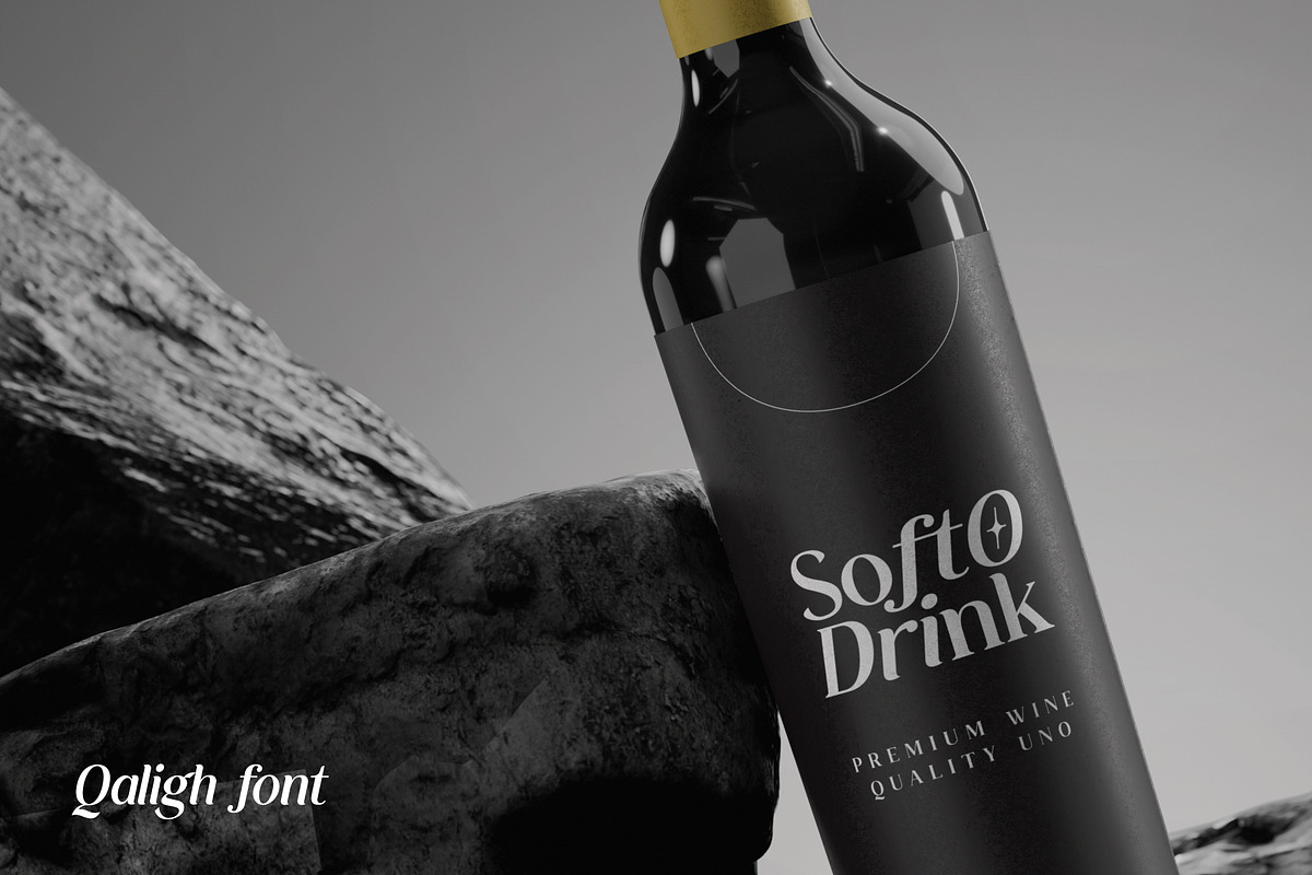 Chamisty Qaligh - Modern Serif, a Serif Font by Lettermine (Photo 9 of 10)