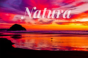 Natura Landscapes Lightroom Presets, an Action Add-On by Naybella (Thumbnail 1 of 5)