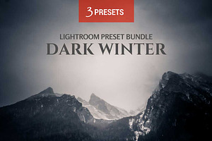 Dark Winter 3 LR Preset Bundle