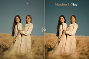 Meadow Lightroom Presets, a Preset Add-On by Presetrain Co. (Thumbnail 5 of 7)