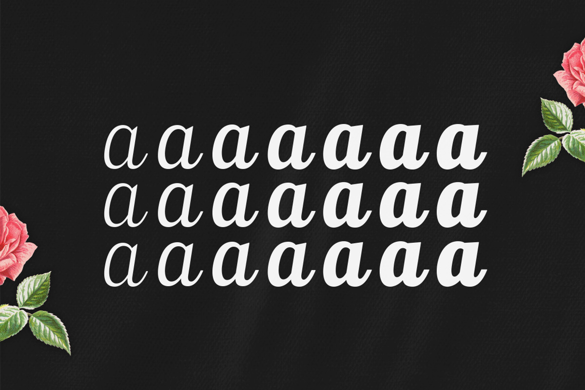 Ralsteda Font Family, a Script Font by Seniors (Photo 13 of 18)