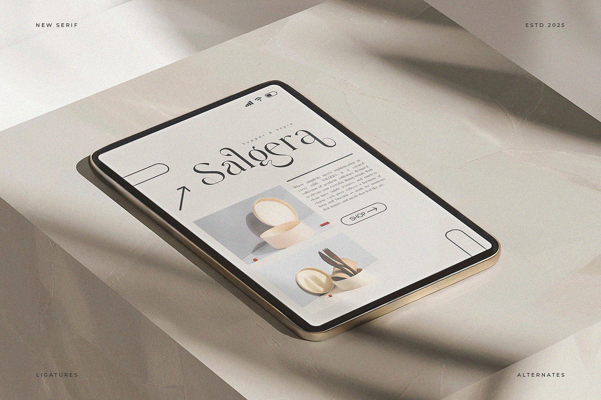 Gialita – Stylish Modern Serif Font, a Serif Font by BrandSemut (Photo 3 of 10)
