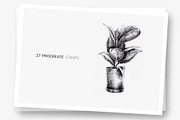 Procreate Brushes 27 Indoor plants, a Brush Add-On by Greek fonts by nantia.co (Thumbnail 2 of 5)