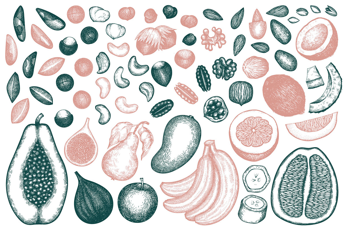 Paleo Diet Vector Collection, a Food Illustration by Lubov Illustrations Shop (Photo 4 of 7)