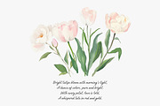 watercolor clipart tulip set, a Decorative Illustration by Patishop Art (Thumbnail 8 of 11)