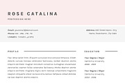 Professional Resume Template - Word, a Resume Template by GResume (Thumbnail 6 of 7)