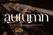 Historical Resilience - Elegant Font, a Serif Font by 177Studio (Thumbnail 4 of 8)