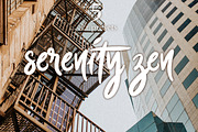 5 Moody Presets - Serenity Zen, a Photo by ONE Click EDIT Collection (Thumbnail 4 of 4)