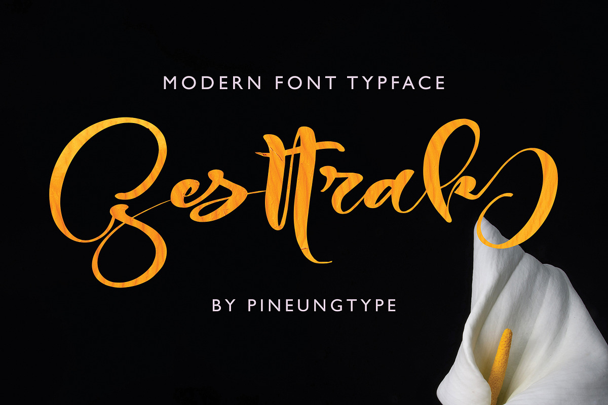 Gesttrak Black Friday preview 2