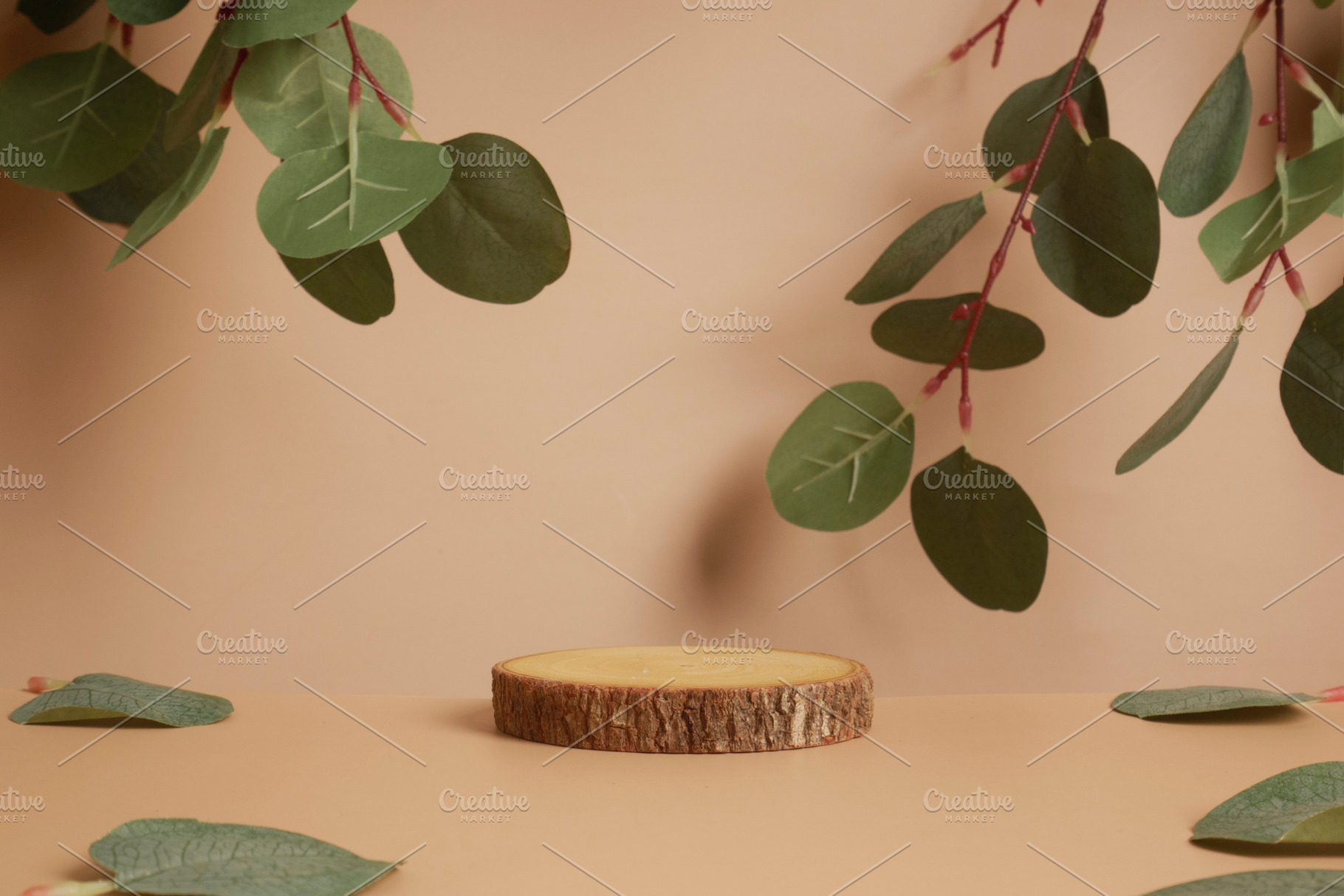 Wood podium with green leaves, a Background Photo by ptystockphoto