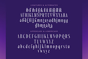 Wharfkin Frostfire Modern Serif Dont, a Serif Font by timelesstype.co (Thumbnail 18 of 20)