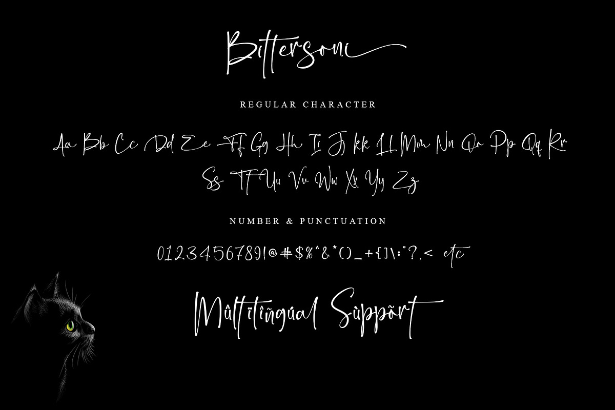 Bittersoni, a Script Font by Letterara (Photo 9 of 11)