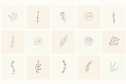Hand Drawn Floral Elements. Frames, a Seasonal Illustration by Designwork (Thumbnail 8 of 22)