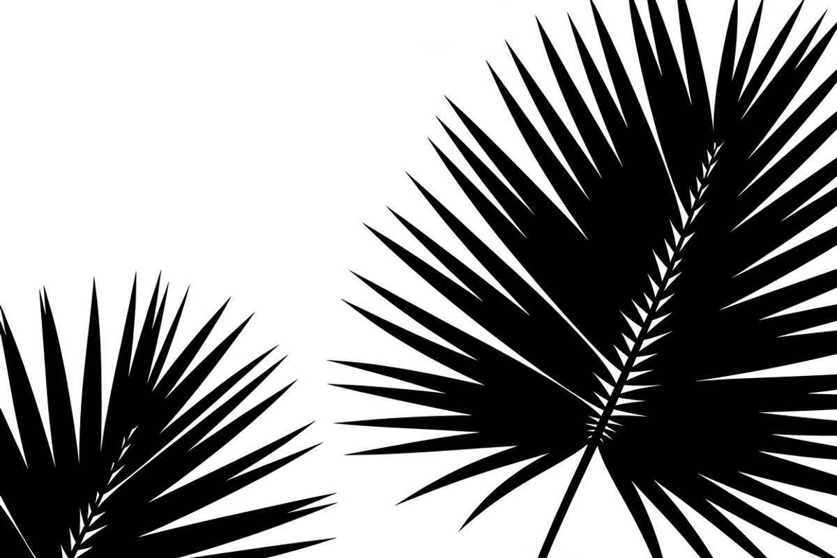 Stylish tropical palm wall decor, an Illustration by Amazin_art (Photo 23 of 33)