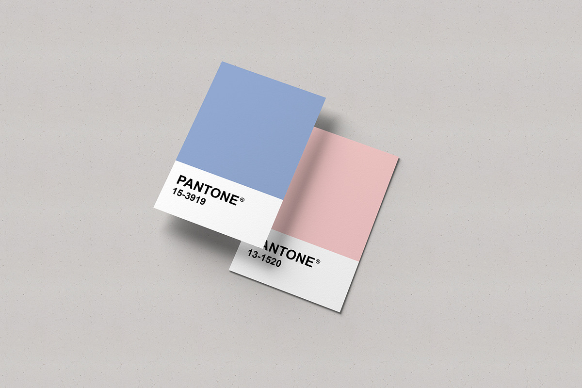 Pantone Card Mockups, a Print Template by artimasa (Photo 4 of 7)