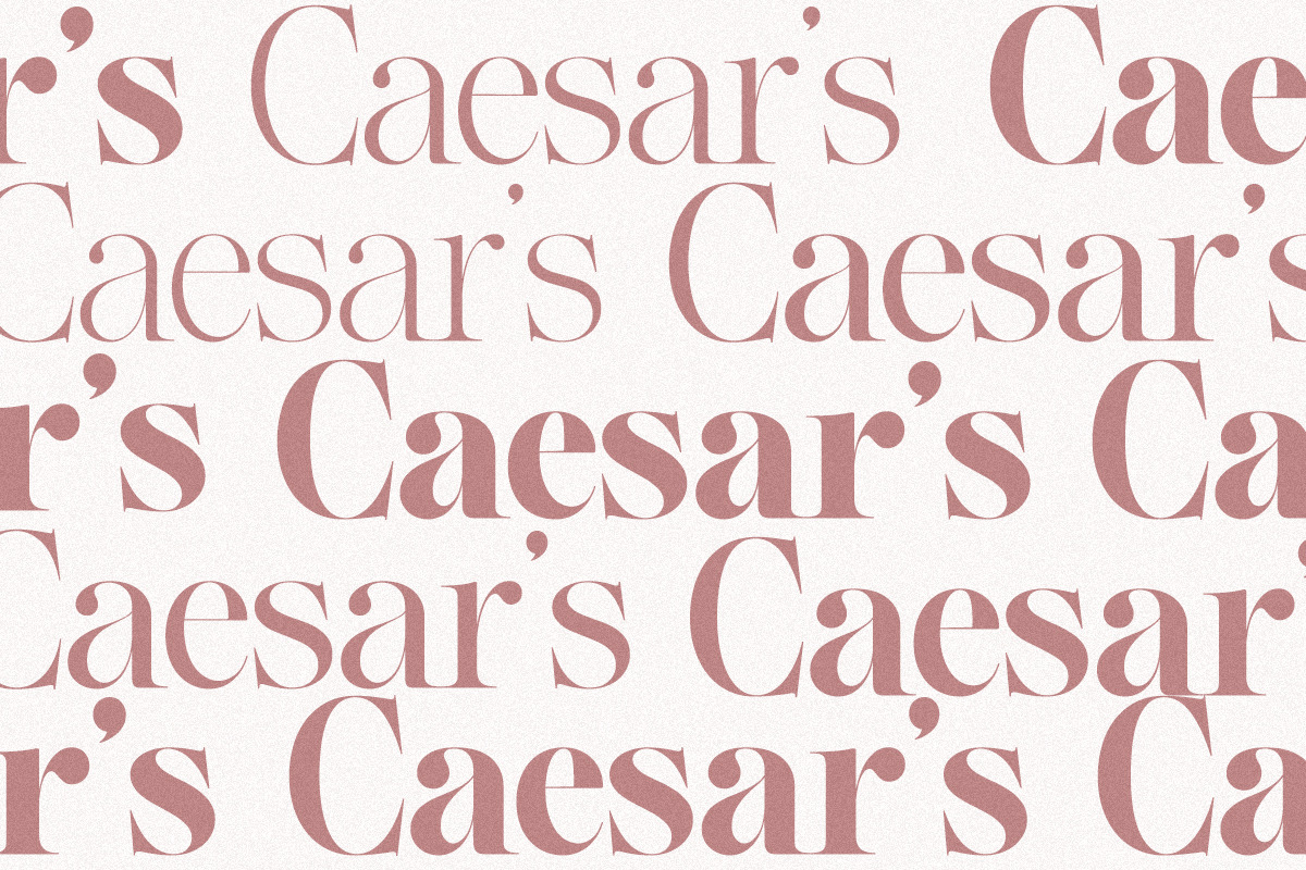 The Effolia | 9-Weight Classy Family, a Serif Font by Pista Mova (Photo 2 of 31)