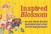 Brenoir - Elegant Decorative Serif, a Font by Simetrica Labs (Thumbnail 7 of 14)
