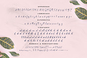 Cecillia - Script, a Script Font by Inspiratype (Thumbnail 9 of 11)