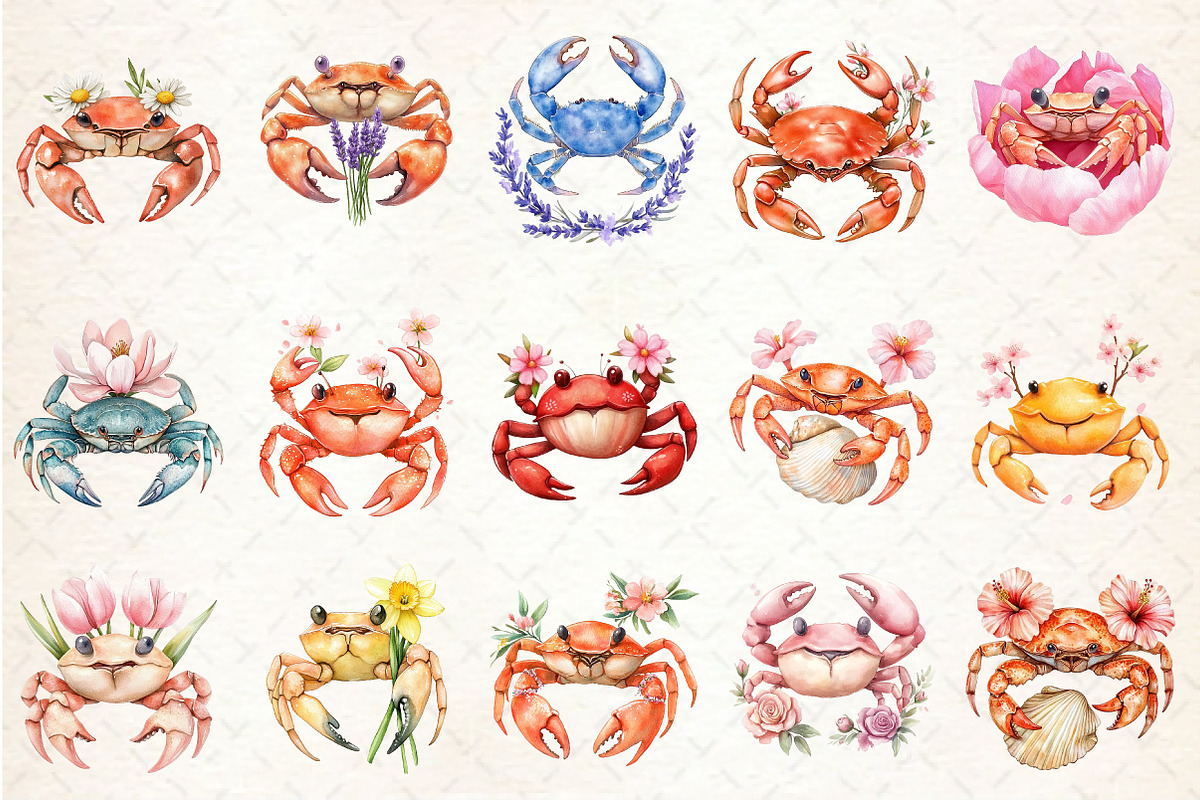 Cute Floral Crab Clipart, an Illustration by Rose Art (Photo 2 of 4)