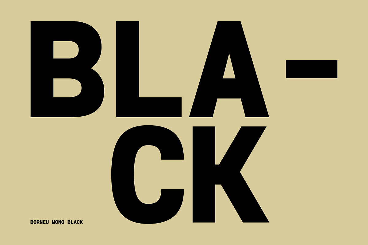 Borneu Mono Regular, a Sans Serif Font by BorneuStd (Photo 10 of 10)