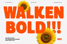 SS Walken - Modern Bold Font