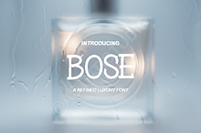 Bose | Elegant Modern Serif Font Fam
