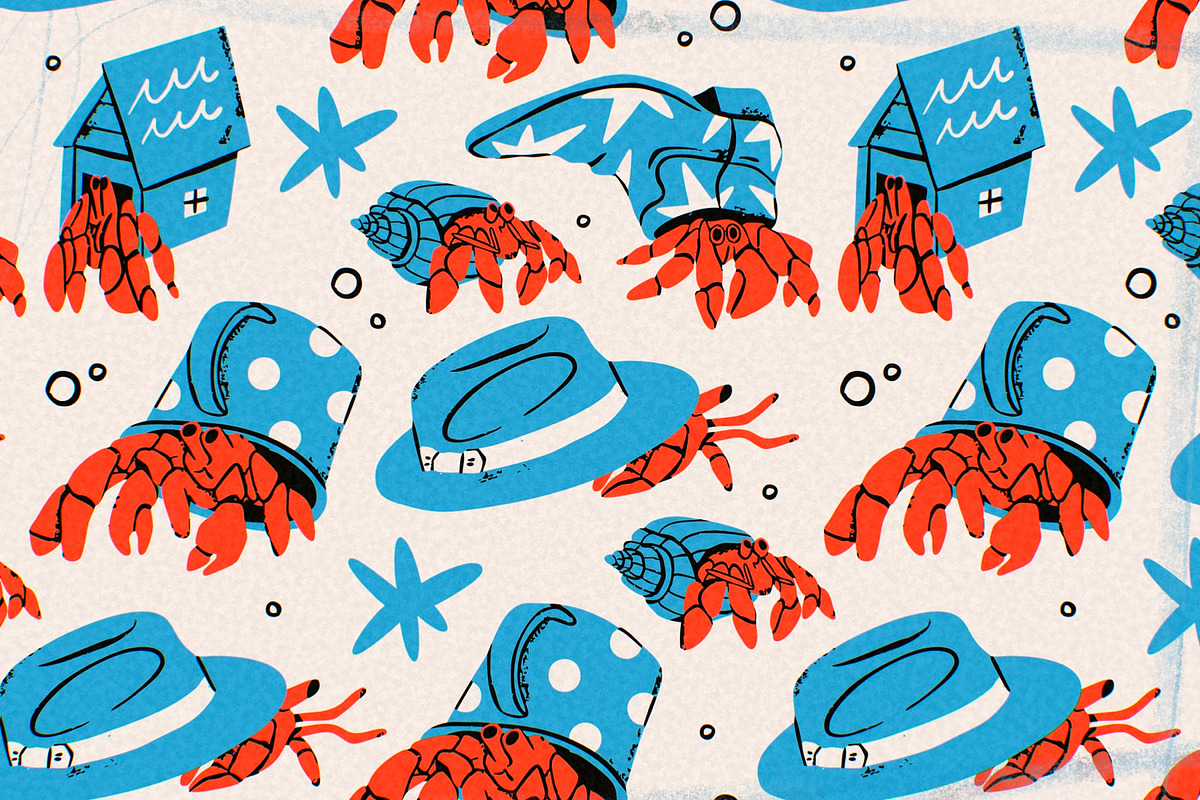Hermit crab, an Animal Illustration by Twisted Tail (Photo 4 of 5)