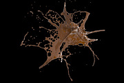 Water explosion, a Food Illustration by Leone_v (Thumbnail 6 of 7)