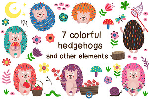 Colorful Hedgehogs Collection