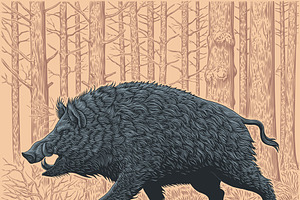 Design Set Boar. Vector Engraving