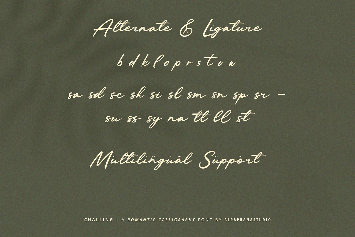 Challing - Romantic Calligraphy Font, a Script Font by Alpaprana (Photo 11 of 12)