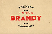 Seidlitz Font, a Font by Bart Wesolek (Thumbnail 4 of 4)